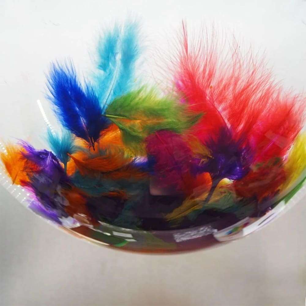 Прозрачный шарик с разноцветными перьями внутри картинка