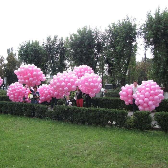 Запуск 1000 розовых шаров возле роддома картинка 3
