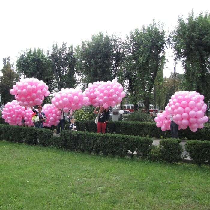 Запуск 1000 розовых шаров возле роддома картинка 4