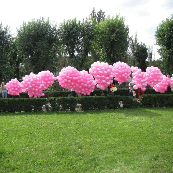 Запуск 1000 розовых шаров возле роддома картинка 5