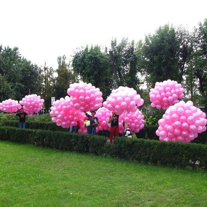 Запуск 1000 розовых шаров возле роддома картинка